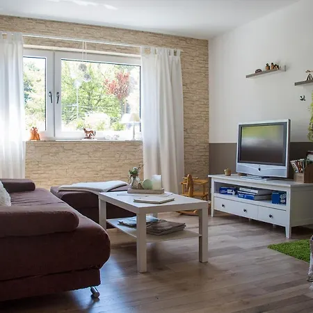 Apartment Ferienwohnung Arzgebirg *