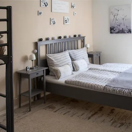 Apartment Ferienwohnung Arzgebirg *
